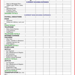 Excel Spreadsheet For Real Estate Agents Tracking Agent Expense Budget In New