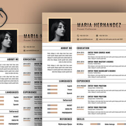 Terrific Creative Board Color Resume Template Free Resumes Templates Slide