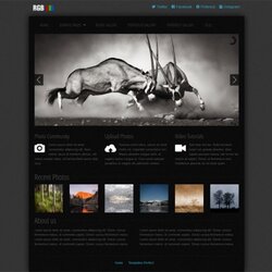 Photo Gallery Website Template Free Web