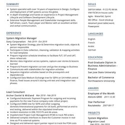 Wizard Functional Consultant Resume Template In