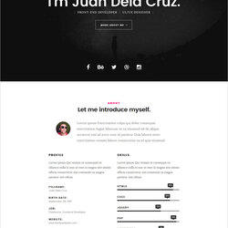 Matchless Best Free Online Resume Website Templates Template