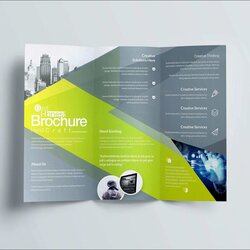 Perfect Microsoft Publisher Flyer Templates Breathtaking Picture
