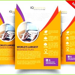 Marvelous Publisher Flyer Templates Template Brochure Info Ms Create Maker Luxury Line Poster Free New