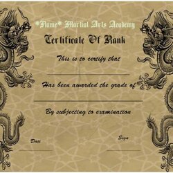 Fine Best Martial Art Certificate Images On Award Arts Certificates Templates Template Different Choose