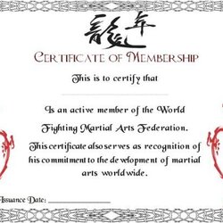 Champion Best Martial Art Certificate Images On Award Arts Certificates Templates Different Choose Template