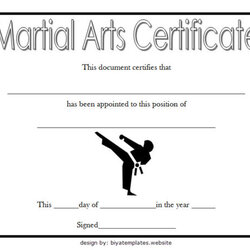 Admirable Martial Arts Certificate Template