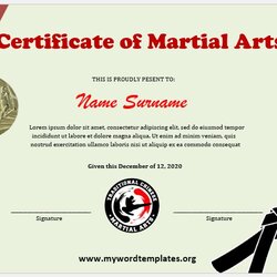 Swell Free Martial Art Certificate Templates My Word Template Certificates