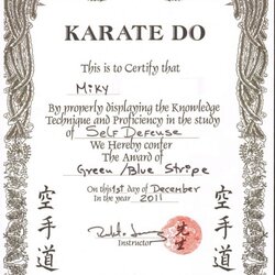Browse Our Sample Of Martial Arts Certificate Template Karate Certificates