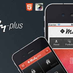 Splendid Best Mobile Website Templates