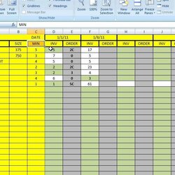 Champion Baseball Card Inventory Excel Template Fresh Control