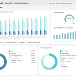 Very Good Financial Reports Examples Discover Monthly Statements Operating Expenses Dashboard