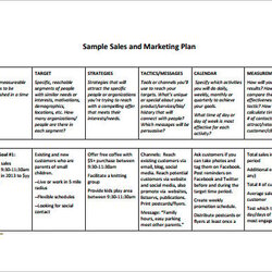 Tremendous Sales Plan Template Docs Word Marketing Business Templates And Free Download