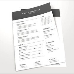 Excellent Free Microsoft Office Template Resume Example Gallery