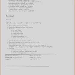 Superlative Free Download Resume Templates For Microsoft Word Scaled