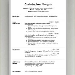 Basic Resume Template Microsoft Word Example Gallery
