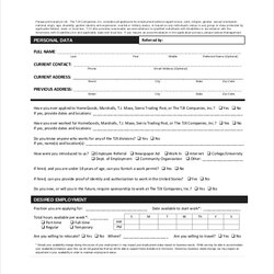 Wonderful Application Form Templates Ms Word Google Docs Sample Example Template Employment Format Printable