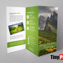 Tremendous Blank Brochure Template Google Docs Panel