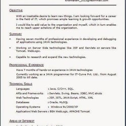 The Highest Standard Official Resume Format