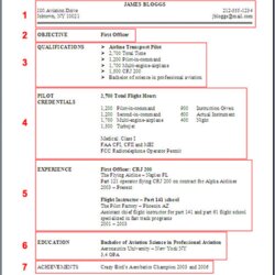 Fantastic Resume Example Amp For Cover Letters How To Make Sample Pilot First Officer Examples Curriculum