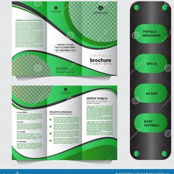 Excellent Page Business Three Fold Brochure Template Modern And Professional