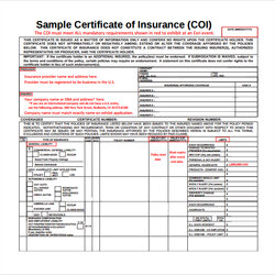 Marvelous Free Sample Certificate Templates In Ms Word Insurance Template