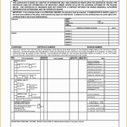 The Highest Quality Certificate Of Insurance Template Free Liability Form Templates