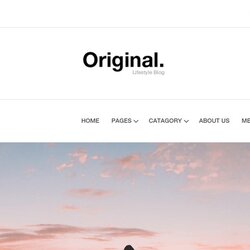 Best Bootstrap Website Templates For Free Download In Template Clean Features Original