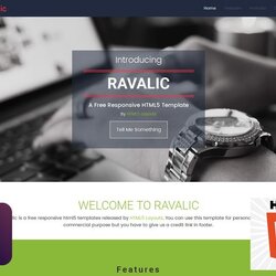 Capital Awesome Free Bootstrap Website Templates Built With Twitter