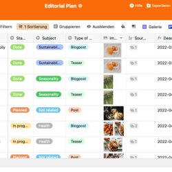 Outstanding Social Media Plan Templates Comparison