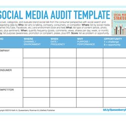 The Highest Quality Social Media Agency Business Plan Template Leah
