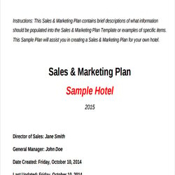 Fine Hotel Action Plan Sample Template Word Sales And Marketing