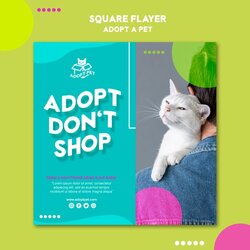 Wonderful Free Pet Adoption Flyer Template Theme