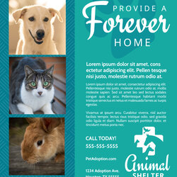 Terrific Animal Shelter Pet Adoption Flyer Template Templates Does Work