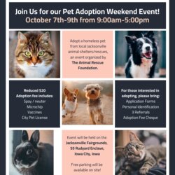The Highest Quality Nonprofit Animal Pet Rescue Adoption Event Flyer Flyers