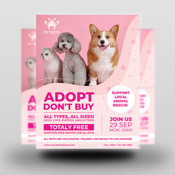 Great Pet Adoption Flyer Template By