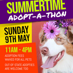 Splendid Pet Adoption Flyer Template Pets Letter Ts