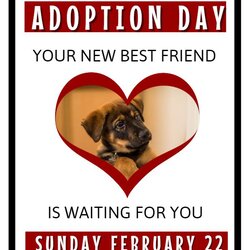 Legit Pet Adoption Flyer Template Or Social Media Post Puppy Dog Flyers Pets Lost Event Choose Board Copy