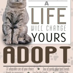 Pet Adoption Flyer Template Adopt Pets Poster Flyers Cat Social Choose Board Copy Customize