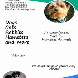 Pet Adoption Flyer Template In Free Brochure