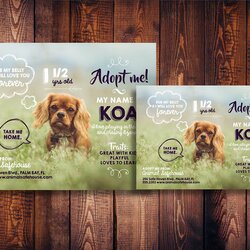 Superior Cute Pet Adoption Flyer Bonus Agriculture