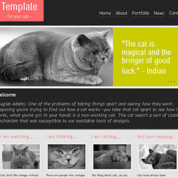 Collection Of Free And Website Templates Slider Template