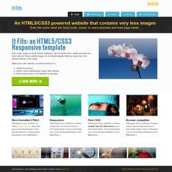 Beautiful And Templates To Give Awesome Look Your Website Template Responsive Fits Web Connoisseur Theme It