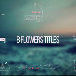 Super Best After Effects Text Animation Templates Junkie Typography