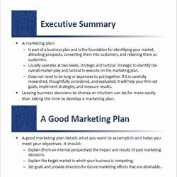 Fantastic Marketing Plan Template Shooters Journal Small Business