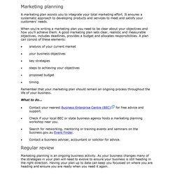 High Quality Professional Marketing Plan Templates Template