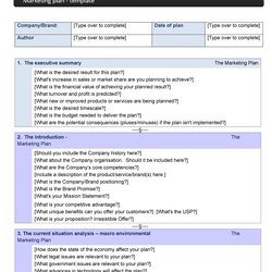 Very Good Professional Marketing Plan Templates Template