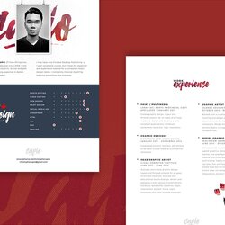 Perfect Resume Template Free Download