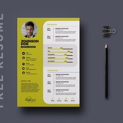 Magnificent Free Professional Resume Template For Your Job Opportunity