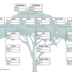 Smashing Extended Family Tree Template With Siblings Aunts Uncles Cousins