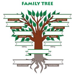 Wonderful Adoptive Family Tree With Siblings Template Free Templates Printable Blank Brother Sister Chart